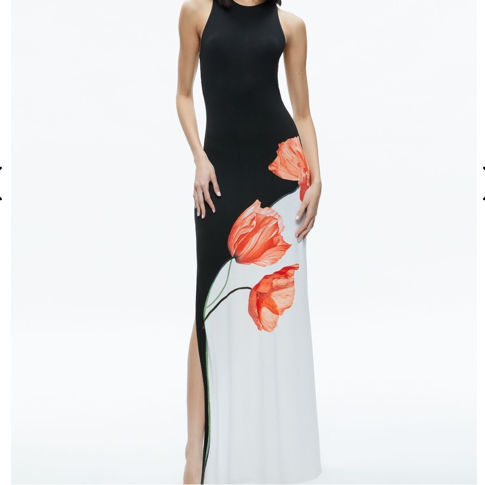 Alice and Olivia Pania floral maxi dress Size 0